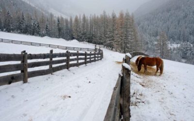 Winter excursion to Stava Guagiola